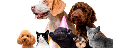 15% rabatt på medlemstilbud