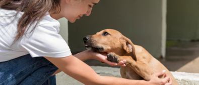20% rabatt på katteluke