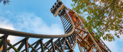 15% korting op de hele site