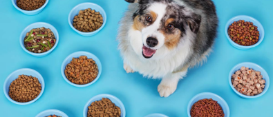 20% Rabatt auf die gesamte Website