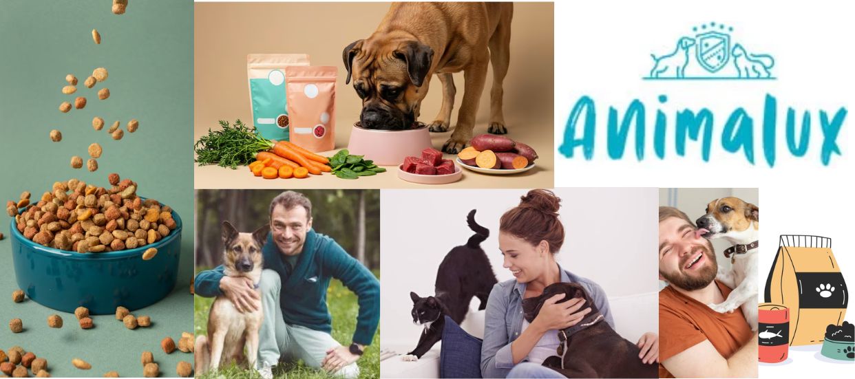 Top 5 Animalux Fudder fir Hënn – Präis, Qualitéit an Zutaten analyséiert